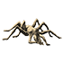 cropped-70arachne-copia.png